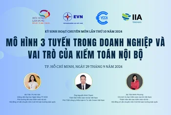 MÔ HÌNH 3 TUYẾN TRONG DOANH NGHIỆP VÀ VAI TRÒ CỦA KIỂM TOÁN NỘI BỘ - KỲ SINH HOẠT CHUYÊN MÔN LẦN 10 NĂM 2024